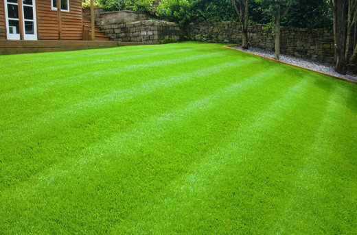 Устройство газона