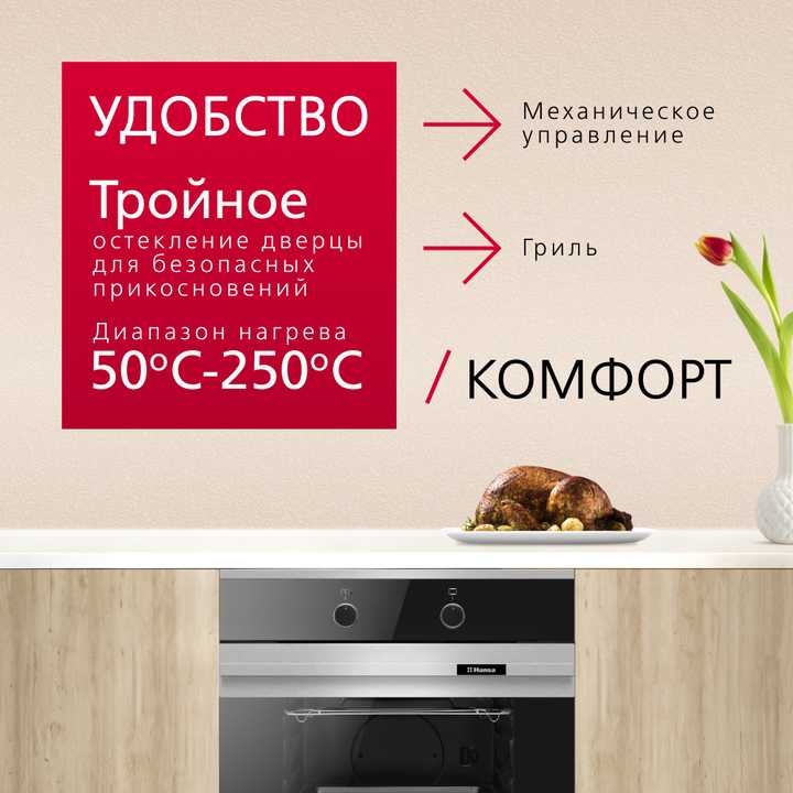 Духовой шкаф Hansa BOEI62000015