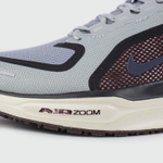Кроссовки Nike Pegasus 41 Gtx Grey Brown