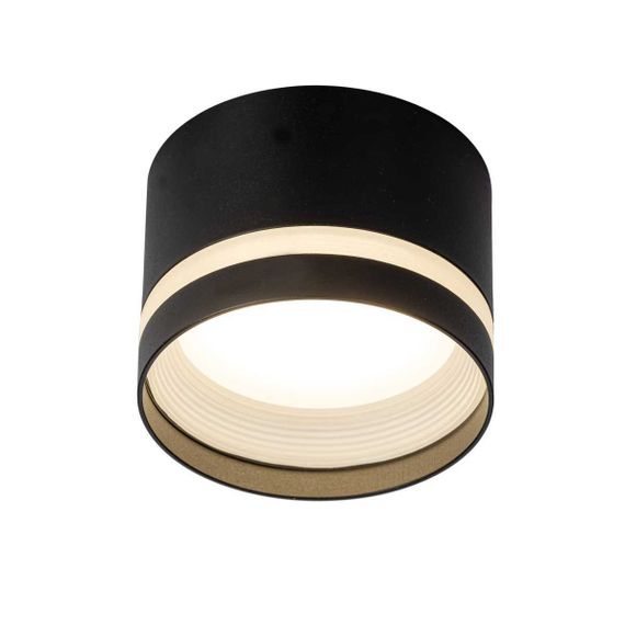 Потолочный светильник Citilux Hardy CL002C11