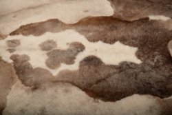 Ковер Мосси из шести шкур светло-коричневый стриженный