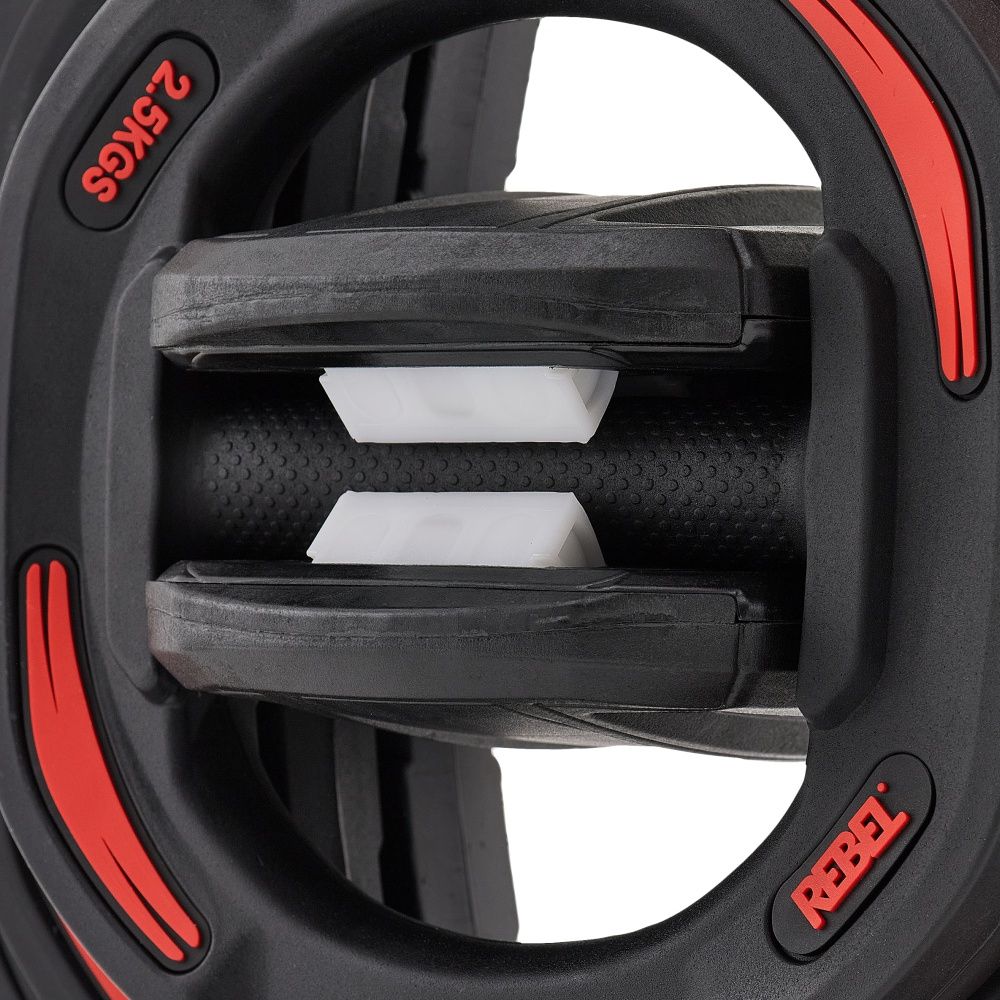 Диски 2,5 кг для памп-штанги для аэробики REBEL R-SMRTP (пара)