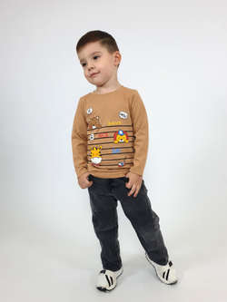 4-117-5 Джемпер для мальчика