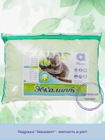 Подушка "Эвкалипт" тик 50*70