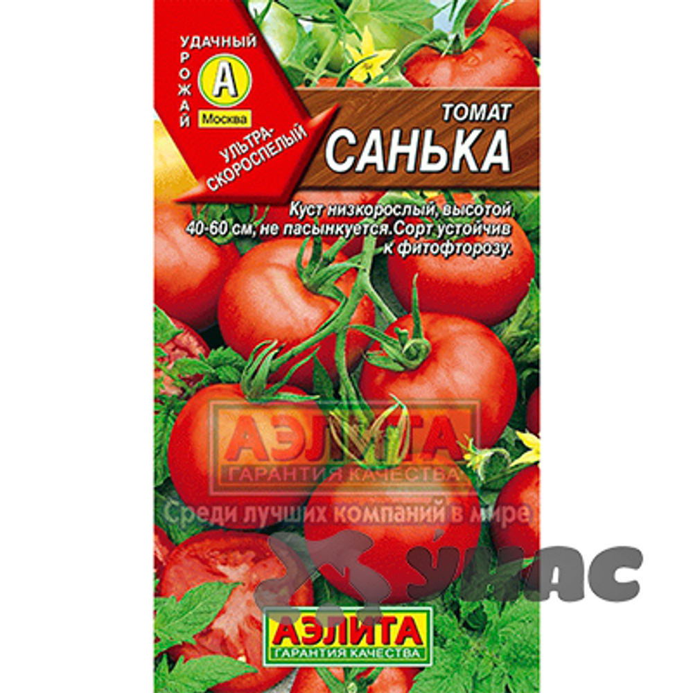 Томат Санька Аэлита