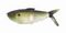 Мягкая приманка 13FISHING The Dine Swimbait 4,25"/ DS