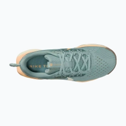 Женские Кроссовки для бега Nike Pegasus Trail 5 cannon/soft pearl/mink brown