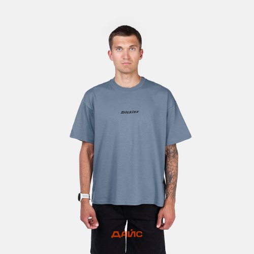 Футболка мужская Dickies Enterprise артикул:DK0A4YRNG701 - купить в магазине Дайс