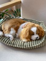 Собака Perfect Petzzz