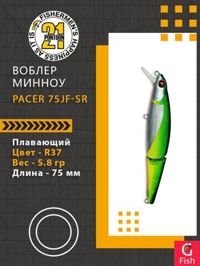 Воблер для рыбалки Pontoon21 Pacer 75JF-SR, R37, 2-x частный, плавающий, 75мм., 5.8 гр. 0.5-1.0 м.
