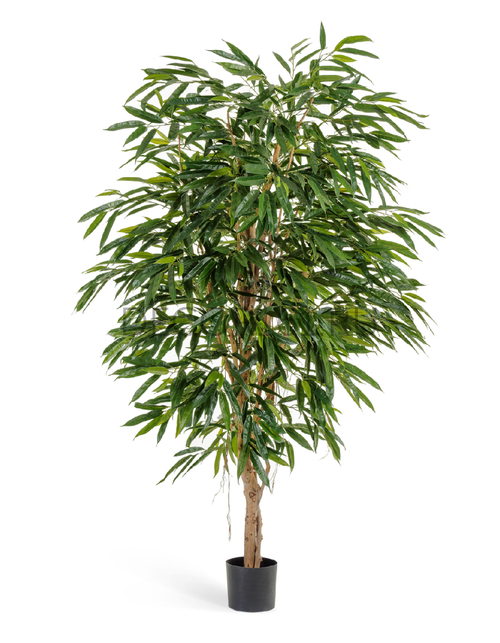 Лонгифолия Роял 180 см 2/2 10.48306N