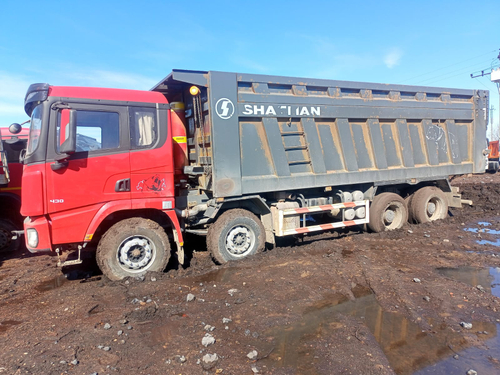 Shacman (Shaanxi) SX* 8x4 Самосвал SX33186T366 (Дизельный, 11,6 л, 430 л.с., МТ)