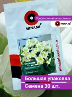 Бегония Вариация белая F1 зеленый лист