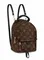 Рюкзак Louis Vuitton Palm Springs PM коричневый