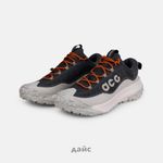  Кроссовки Nike ACG Mountain Fly 2 Low GTX 