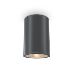 Накладной светильник Maytoni Bar O306CL-L12GF