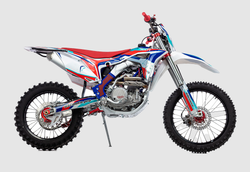 Кроссовый мотоцикл BSE RTC-300R Fanta 21/18 (2)