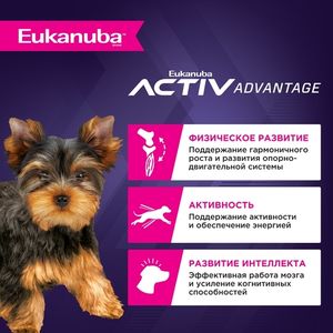 Сухой корм Eukanuba Puppy Toy Breed ˂12 Months для щенков миниатюрных пород с птицей