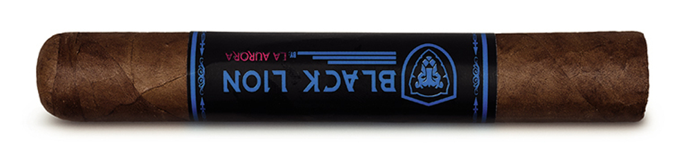 Black Lion Cameroon Toro