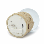 Снежные каникулы