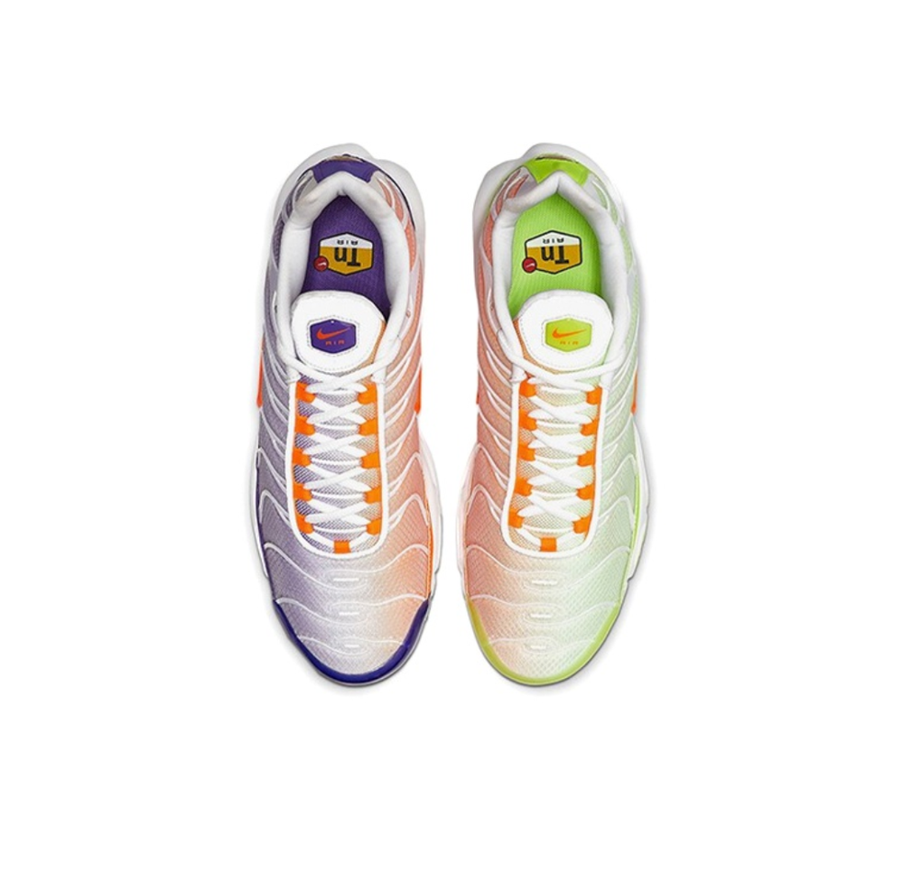 Мужские кроссовки Nike Air Max Plus 'Color Flip' CI5924-531