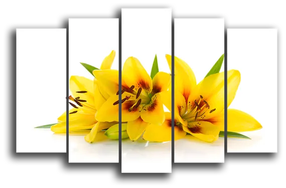 Модульная картина "Желтые лилии"