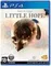 PS4 The Dark Pictures: Little Hope (Новый, Полностью на русском языке, CUSA-17885 )
