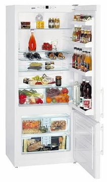 Холодильник Liebherr CP 4613