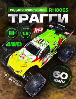 Радиоуправляемая трагги Remo Hobby Truggy Brushless Evo-R БК 4WD RTR масштаб 1:8 2.4G - RH8065