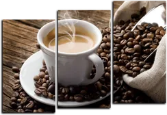 Модульная картина "Арабика"