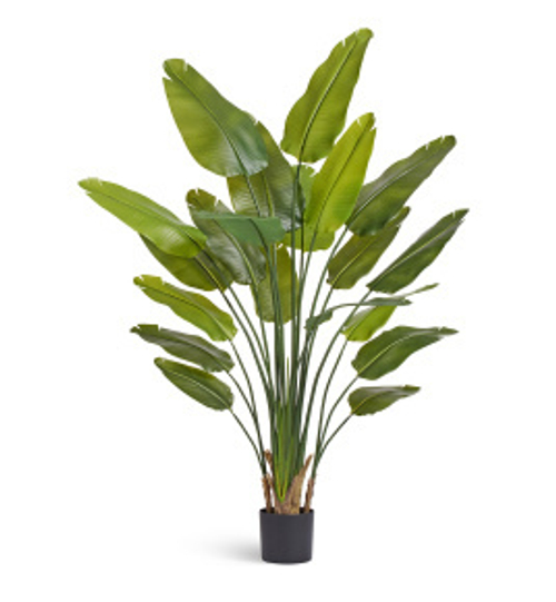 Стрелиция New Style с UV-защитой (Sensitive Botanic)