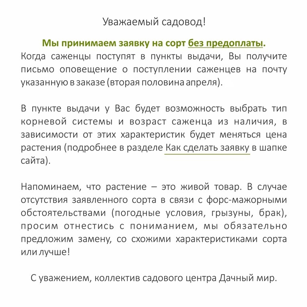 Малина крупноплодная Патриция