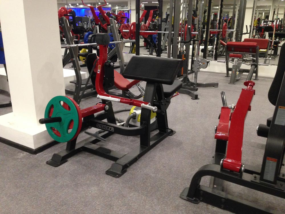 Impulse SL7023 бицепс сидя, профессиональный тренажер