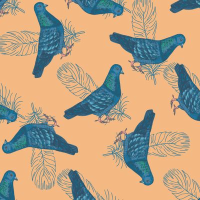 Голуби и перья