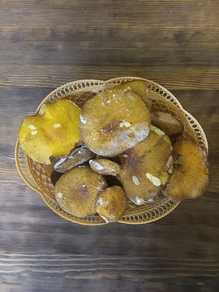 Смесь грибов: маслята и моховики целые замороженные (Караканский бор)