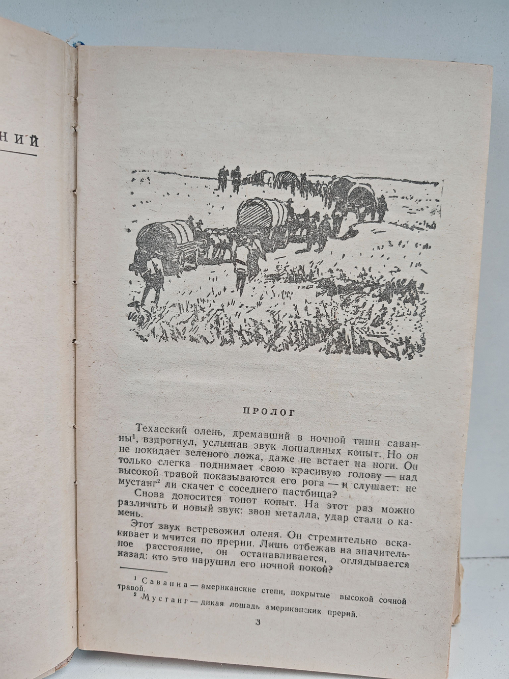 Всадник без головы