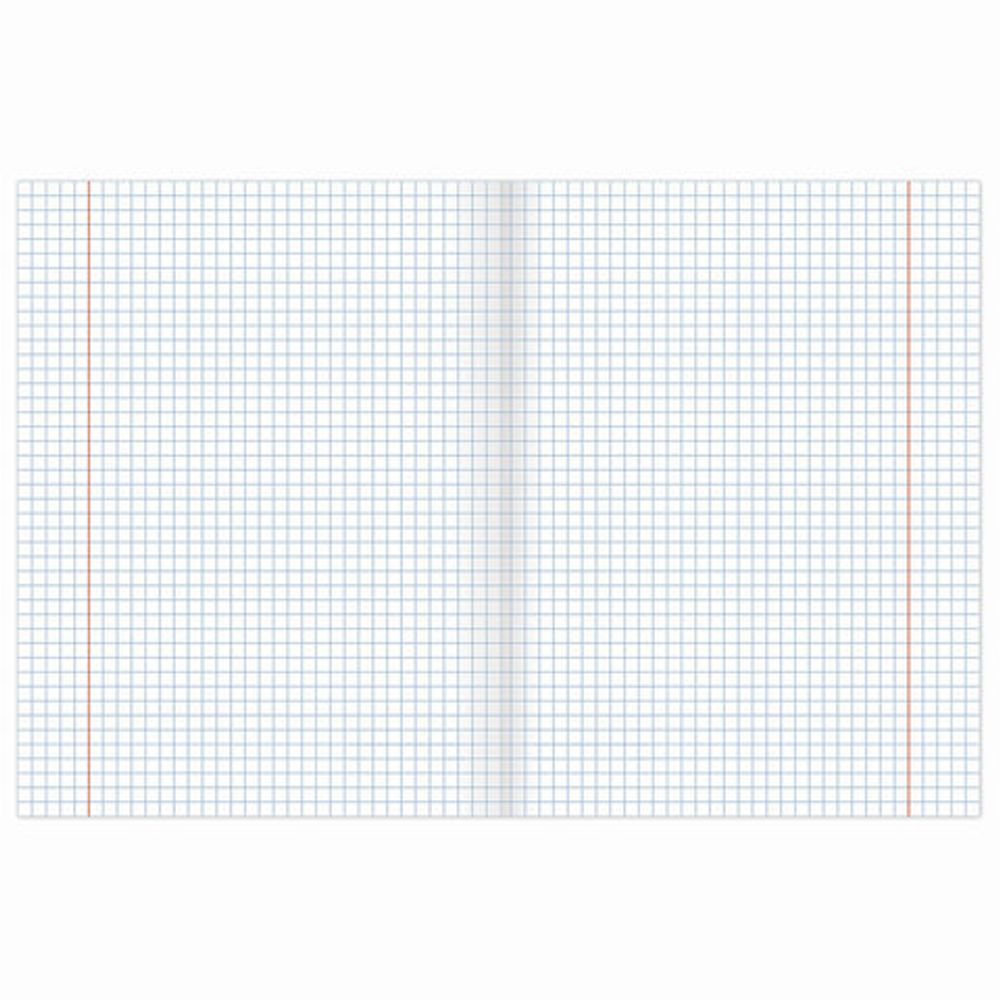 Тетради предметные, КОМПЛЕКТ 10 ПРЕДМЕТОВ, "КЛАССИКА XXI", 48 л., обложка картон, BRAUBERG, 404025