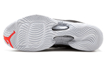 Кроссовки Jordan Air Jordan 29 Low Infrared 23