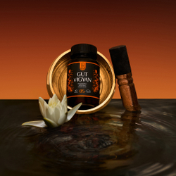 GUT VIGYAN Аюрведический комплекс ГАТ ВИГЯН Восстановление кишечника 60шт