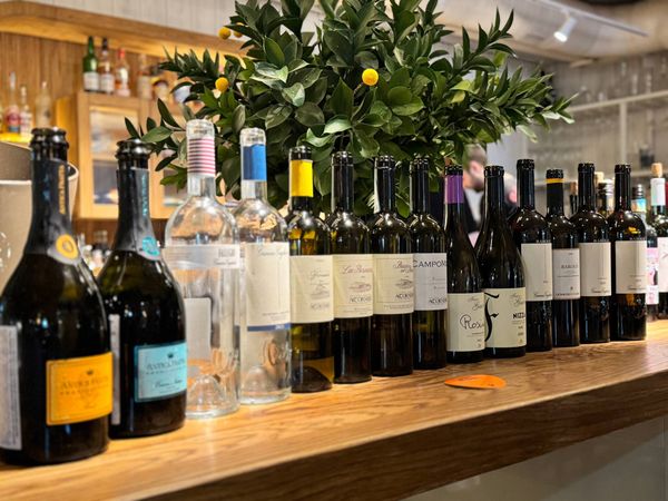 Lion Wine X Capito