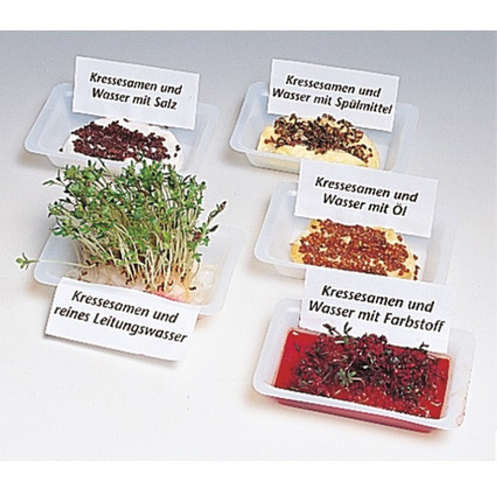 "От зародыша до взрослого растения" Комплект лабораторного оборудования