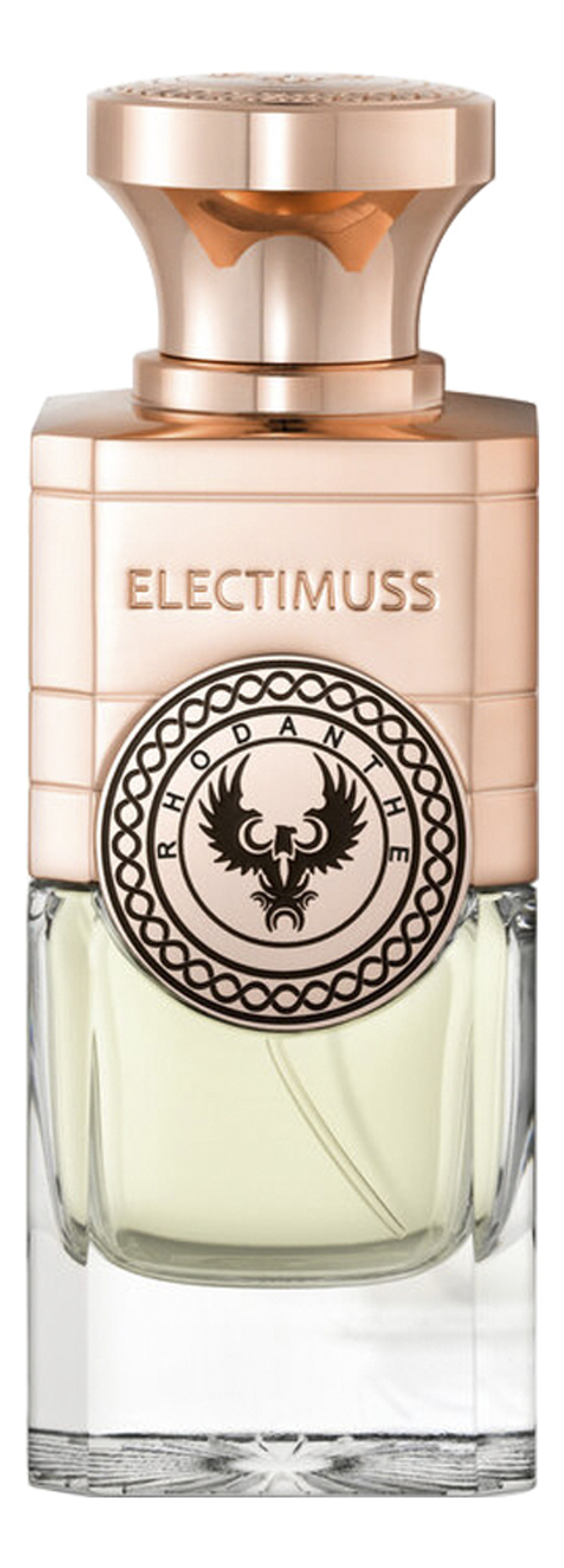 Electimuss Rhodanthe