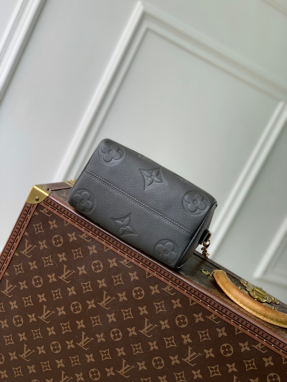 Louis Vuitton Speedy 20