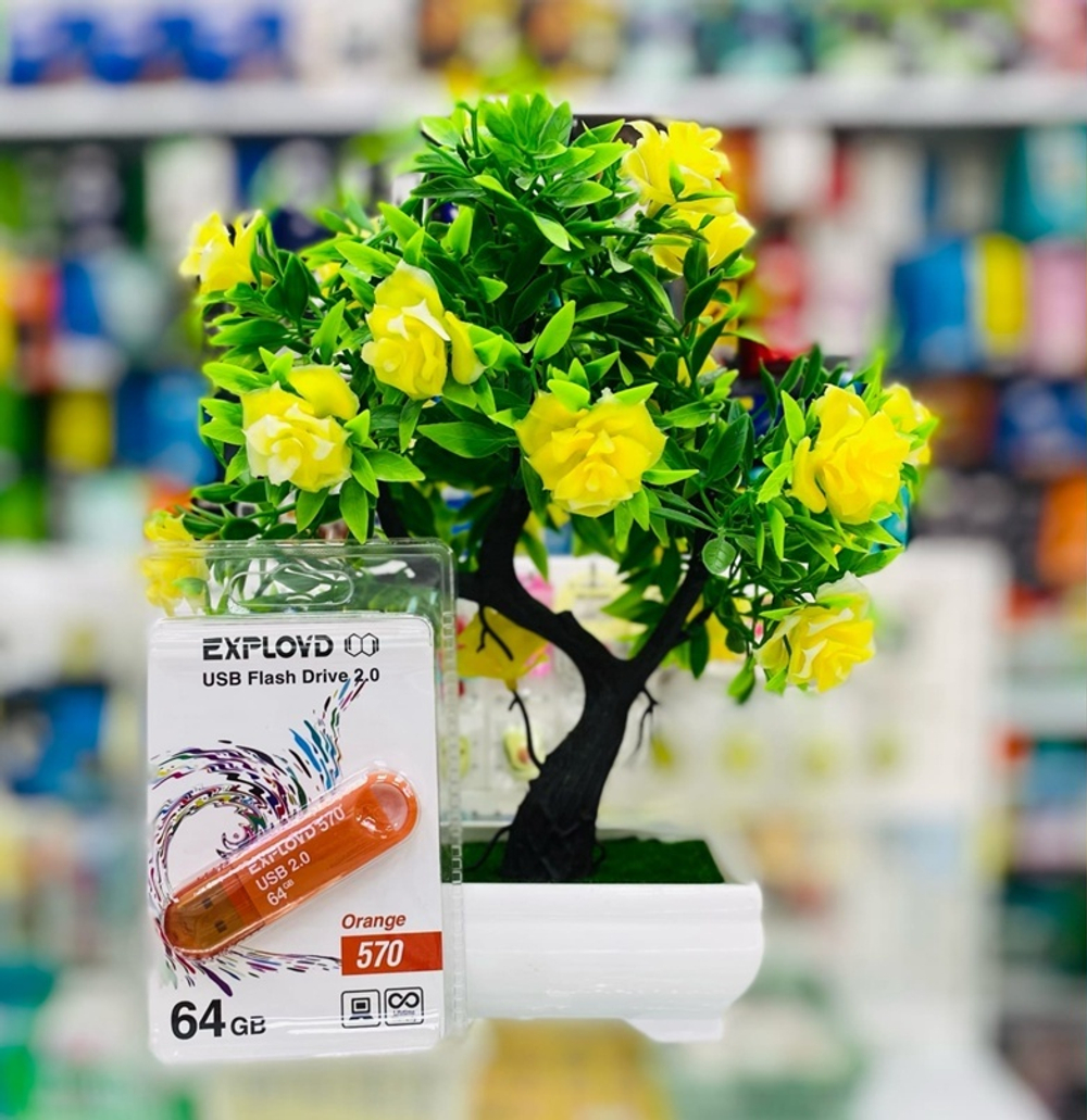 USB Флешка 64GB Exployd 570, USB 2.0, оранжевая
