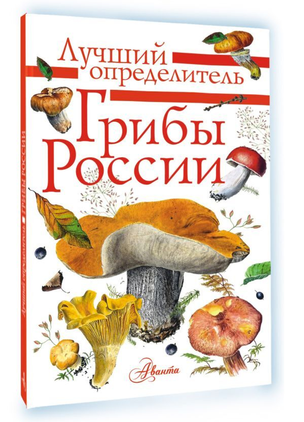 Грибы России. Определитель