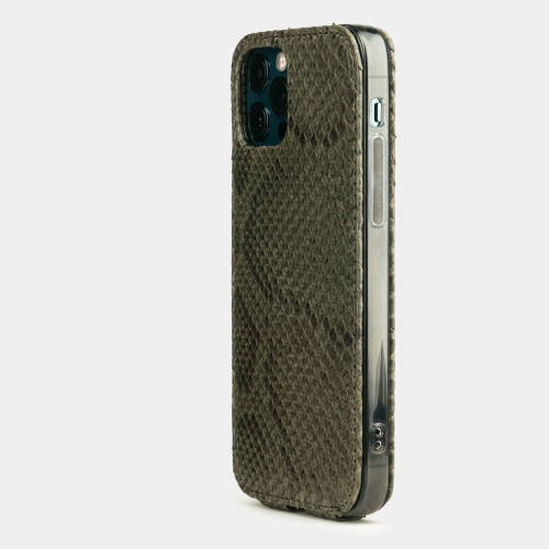 Чехол для iPhone 12 Pro Max из натуральной кожи питона, зеленого цвета