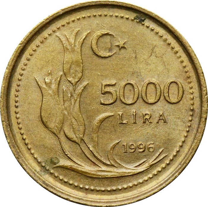 5 000 лир 1996 Турция