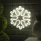 Неоновая вывеска Снежинка 30 см., батарейки ААх3, USB, белый, Luazon Lighting (7989805)