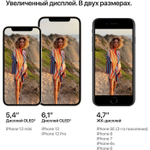 Смартфон Apple A2403 iPhone 12 64Gb 4Gb красный моноблок 3G 4G 1Sim 6.1" 1170x2532 iOS 15 12Mpix 802