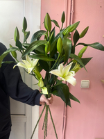 Букет из 5 белых лилий